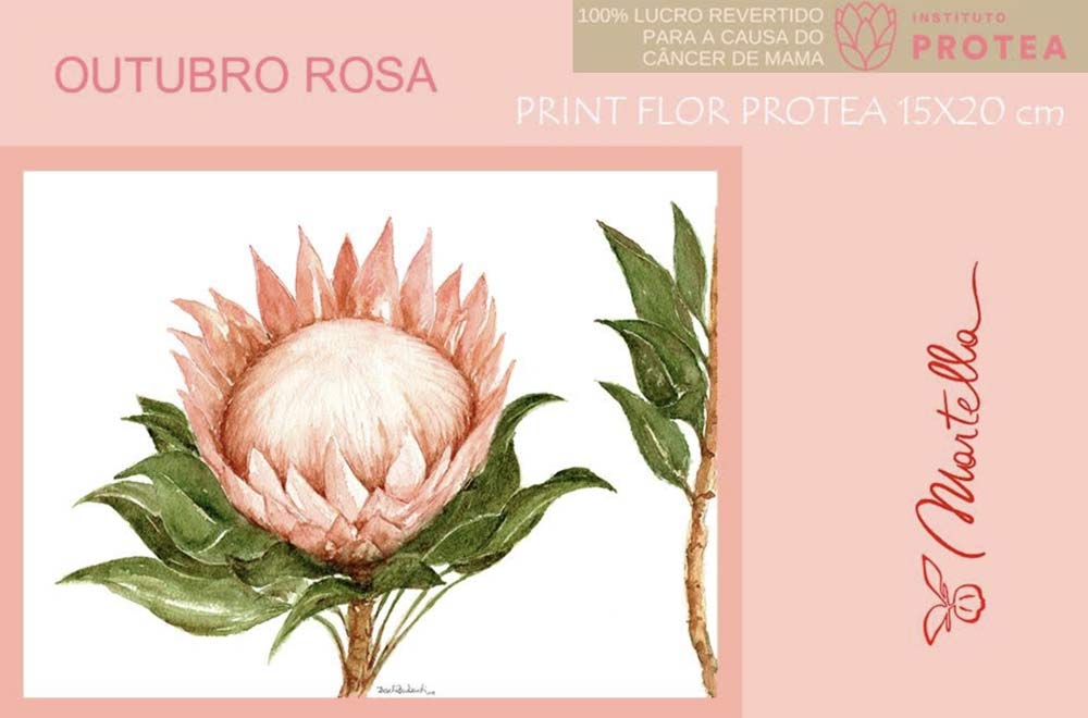 Martella - Protea