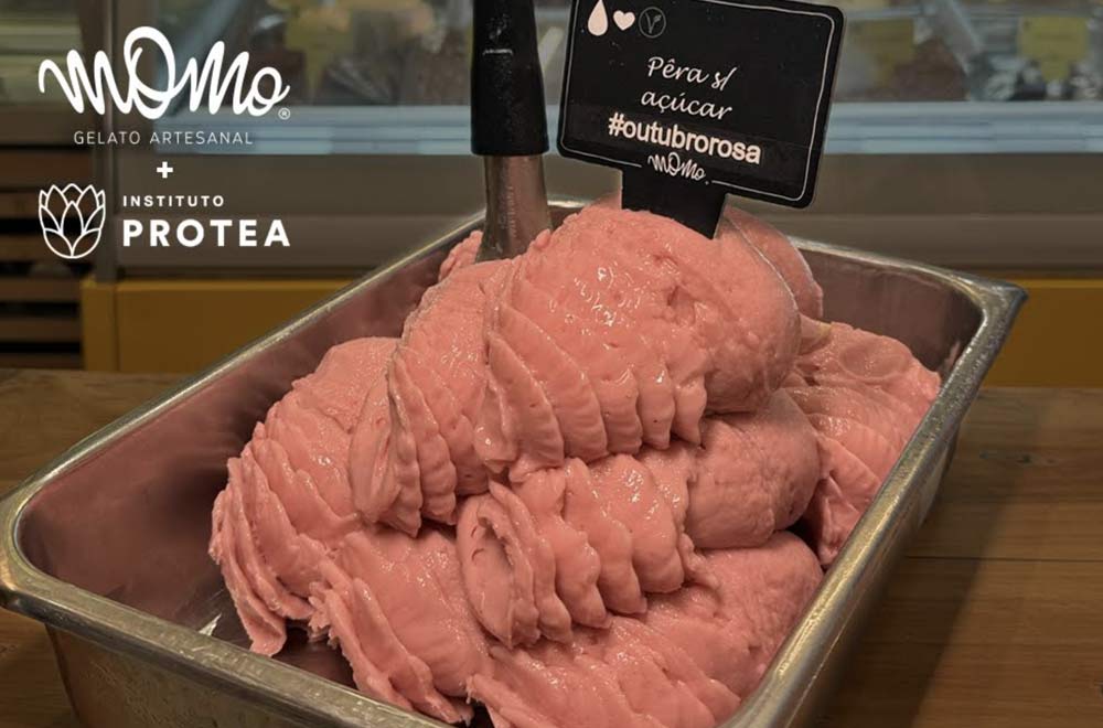 Momo Gelato - Protea